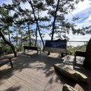 송정메타세콰이어길 이미지