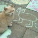 심통
