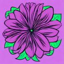 서영대학교 이미지