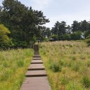 보담애월 이미지