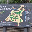 꿩고개 유아숲체험원 이미지