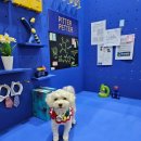 (주)피터펫 이미지