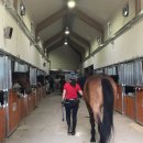 유성승마장 이미지