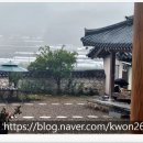 [방문 후기] 성주 청담1942(비 오는 한옥 카페/티 원데이클래스) 대구 근교 힐링 추천