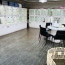 애견갤러리 강아지분양 애견샵 이미지