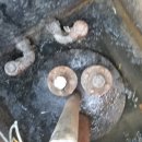 강가주유소 이미지