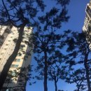 금강산감자탕 이미지