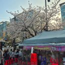 가산디지털단지역 4번출구 | 가산디지털단지역 벚꽃뷰 야장 1박2일포차｜주말 웨이팅 내돈내산 후기