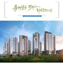 라온 영 이미지