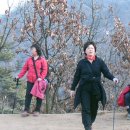 초우농장 이미지