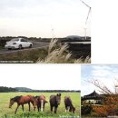 제주도-초보와 고수의 이색 二色 제주탐험①제주 초보 김기자의 흥미진진 제주 여행 이미지