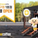 바나나몽키즈