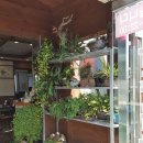 전통나주곰탕윤미경1호점 이미지