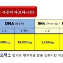 가인바이오넷