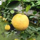 벽천농장 이미지