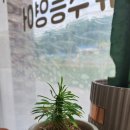 데이비드영어교습소