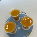 귤하우스 | 제주 동쪽 귤메달 하우스 방문 후기(+주스 샘플러후기)