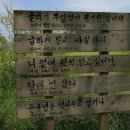 와보랑께 박물관 이미지