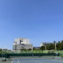 테린이 테니스기록 테니스장 후기(토당테니스장/목동테니스장/장충테니스장/한남테니스장)