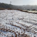 압해공인중개사사무소 이미지