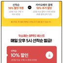 타비 이미지