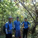 진주 두문리 이정표석 이미지