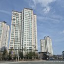 꿈에그린2차 | 울산 한화꿈에그린 2차 리모델링 후기, 봄철 미세방충망으로 가족건강 지키기