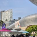 서울나들이; 동대문 DDP 볼거리 시티투어 버스요금 운행시간 총정리