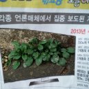 변은주 이미지