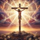 민창근(요들러민) 작사곡 - 보배로운 주의 피흘려 (찬양) / The precious blood of the Lord is shed 이미지