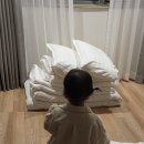대전 아이랑 아기 숙소 추천 가성비 온돌룸 싼곳 선샤인호텔 숙박 후기