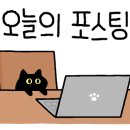 모와즐 이미지