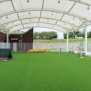 펫 월드 이미지