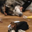 떡대 - 광진구 군자로 31-1 | 떡대