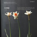 플로라 & 디자인스쿨 이미지