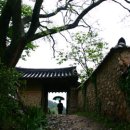 돌담추억 이미지