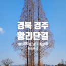 황금빛한우 | 경주 황리단길 황금10원빵 황남우엉김밥 우마왕한우샌드 황남리고분군 올리브영 후기