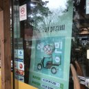 사파동282 이미지