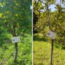 즐거운요양병원 이미지