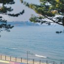 쉼표고성2 이미지