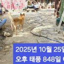 토요일오후 이미지