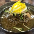 애견나라 백화점 이미지