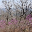 흥산2리 이미지