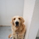 월정리 문스테이 게스트하우스 이미지