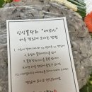 해운대싱싱뽈락회 | 부산여행 해운대맛집 싱싱뽈락회 포장후기 내돈내산 나의 또간집