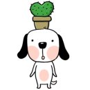 세종종합동물병원 이미지