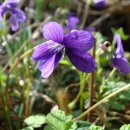 민 목장 이미지