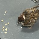 비에이치씨 휘경점 | 7월 일상