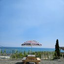 니도(Nido) 이미지