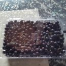 마운틴공인중개사사무소 이미지